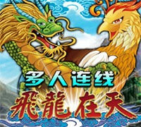 飞龙在天